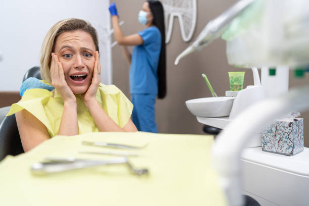 Best Broken or Chipped Tooth Repair in Laurel Hollow, NY